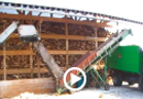 video6